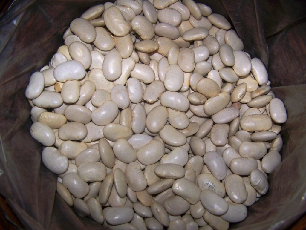 Soy Beans in white color