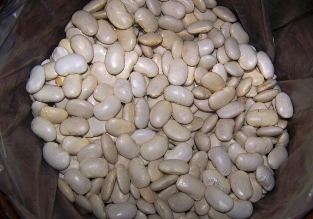 Soy Beans in white color